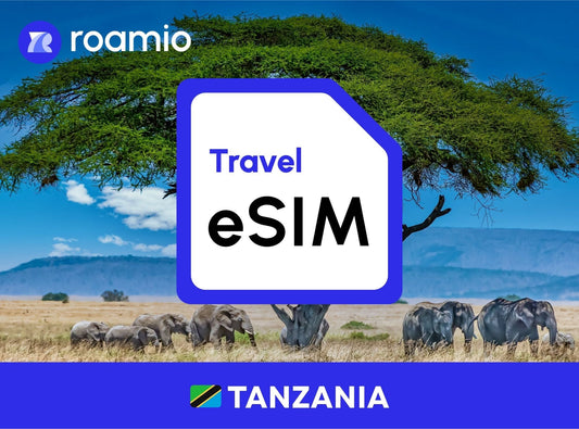 Tanzania Daily